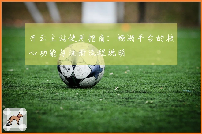 开云主站使用指南：畅游平台的核心功能与注册流程说明